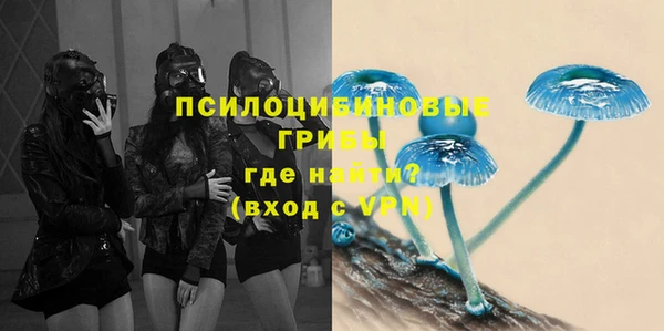 MESCALINE Алексеевка