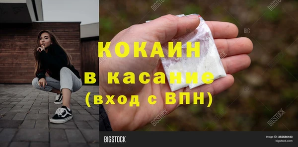 PSILOCYBIN Козловка
