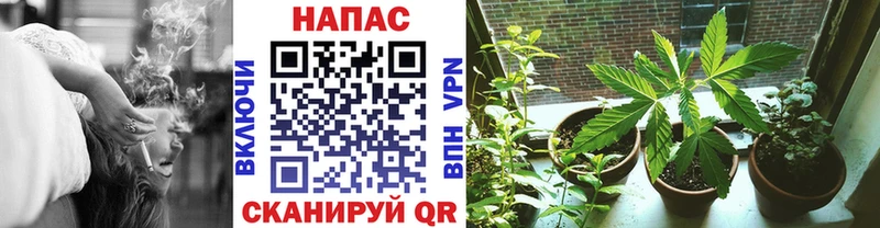 Бошки марихуана VHQ Тихвин
